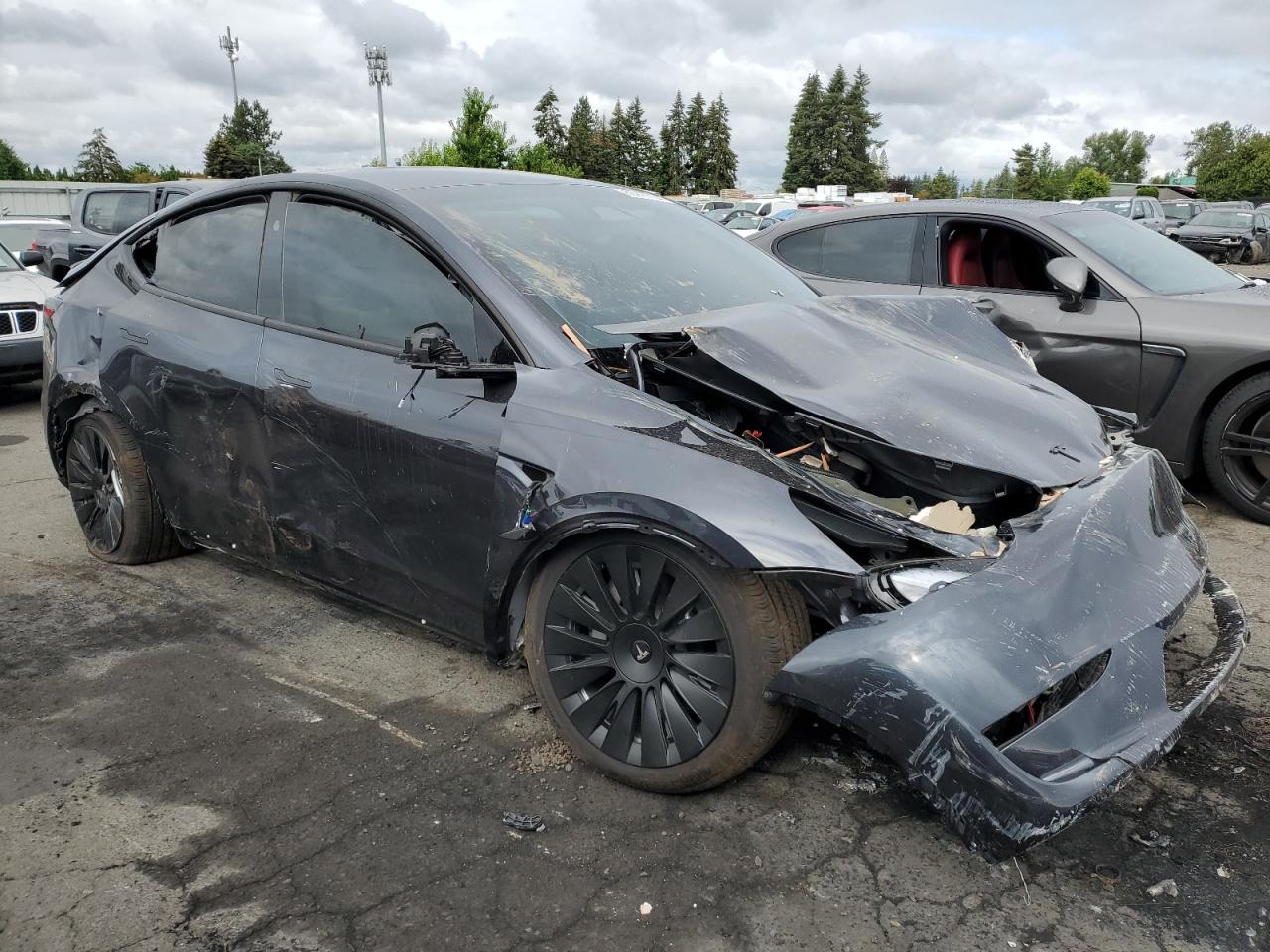 2024 TESLA MODEL Y  VIN:7SAYGDEE8RF083009