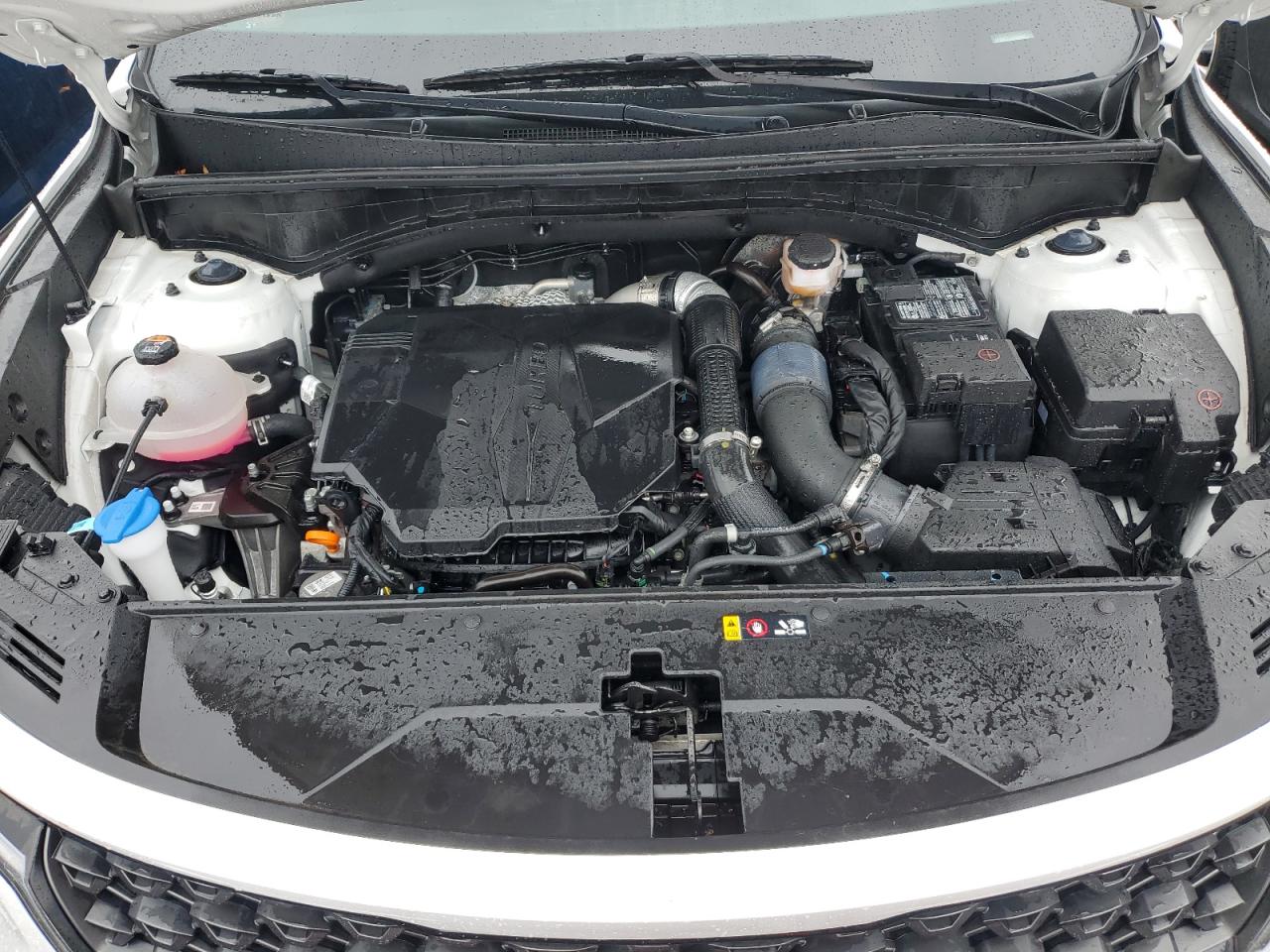2022 KIA SORENTO SX VIN:5XYRKDLF1NG133893