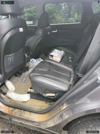 2020 Hyundai Santa FE KMHS281HGMU334862 VIN:KMHS281HGMU334862