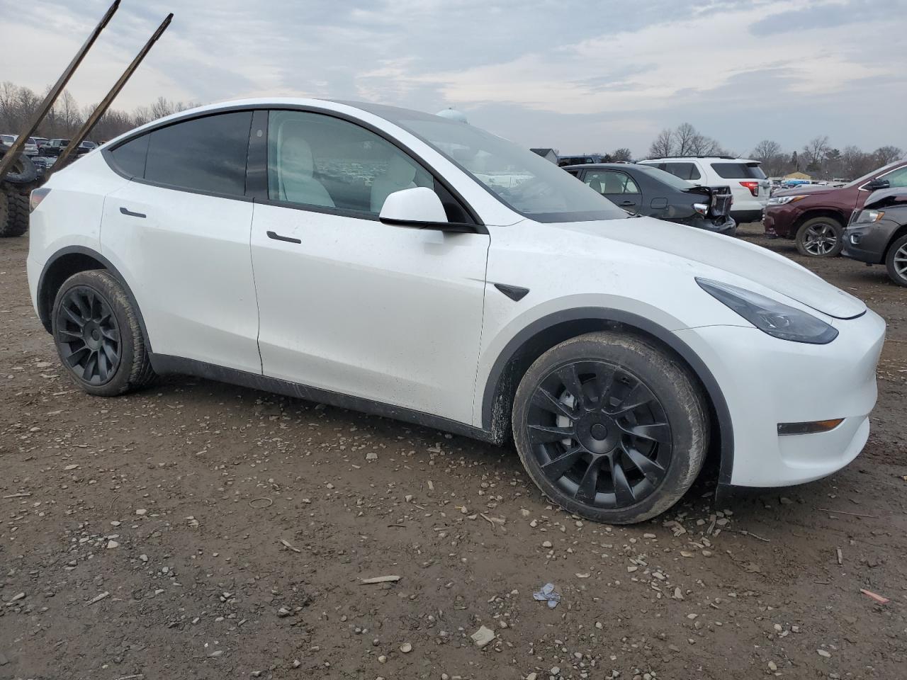 2024 TESLA MODEL Y  VIN:7SAYGDEE7RA234919