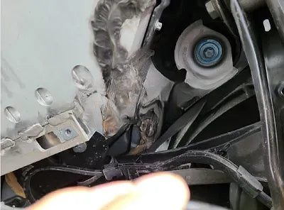 2021 Mercedes-Benz A 250 W1N9N0BB2MJ006026 VIN:W1N9N0BB2MJ006026