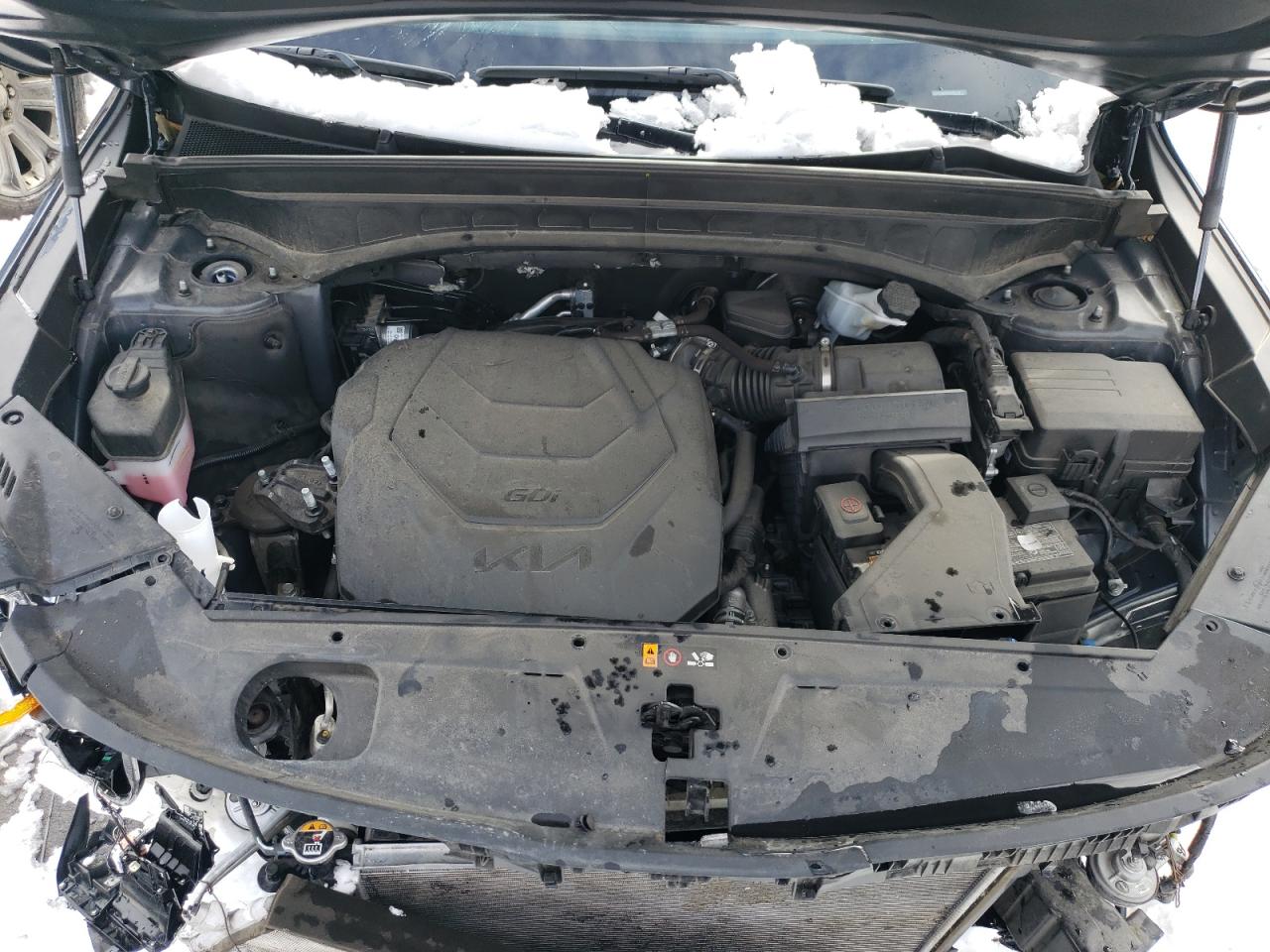 2023 KIA TELLURIDE SX VIN:5XYP5DGC6PG409728