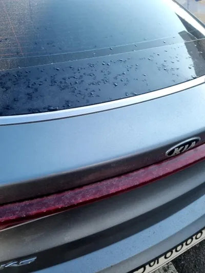 2020 Kia K5 KNAG241JBLA001083 VIN:KNAG241JBLA001083