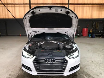 2016 Audi A4 WAUZZZF49GA072697 VIN:WAUZZZF49GA072697