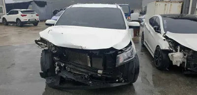 2020 Kia Carnival KNAMB81ABLS655664 VIN:KNAMB81ABLS655664