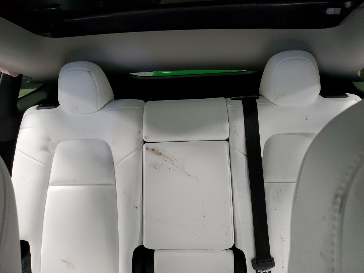 2024 TESLA MODEL Y  VIN:7SAYGDEE4RF081502