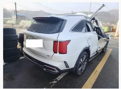 2023 Kia Sorento KNARK81GBPA167065 VIN:KNARK81GBPA167065