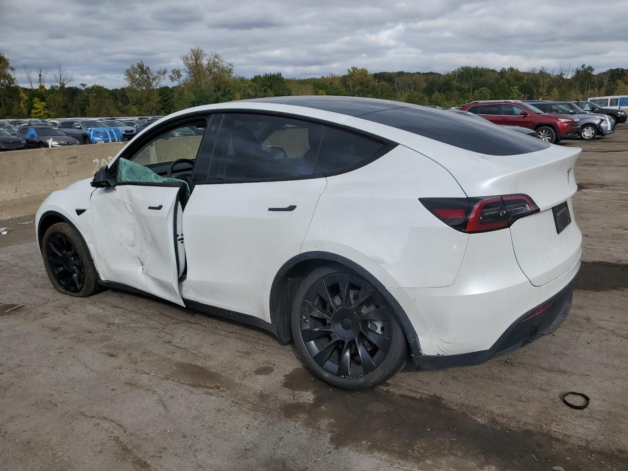 2023 TESLA MODEL Y  VIN:7SAYGDEE8PA057536