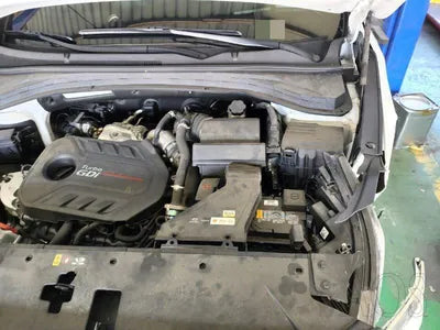 2019 Hyundai Santa FE KMHS581ABLU247207 VIN:KMHS581ABLU247207