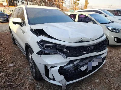 2020 Kia Sorento KNAPG81BBLA569568 VIN:KNAPG81BBLA569568