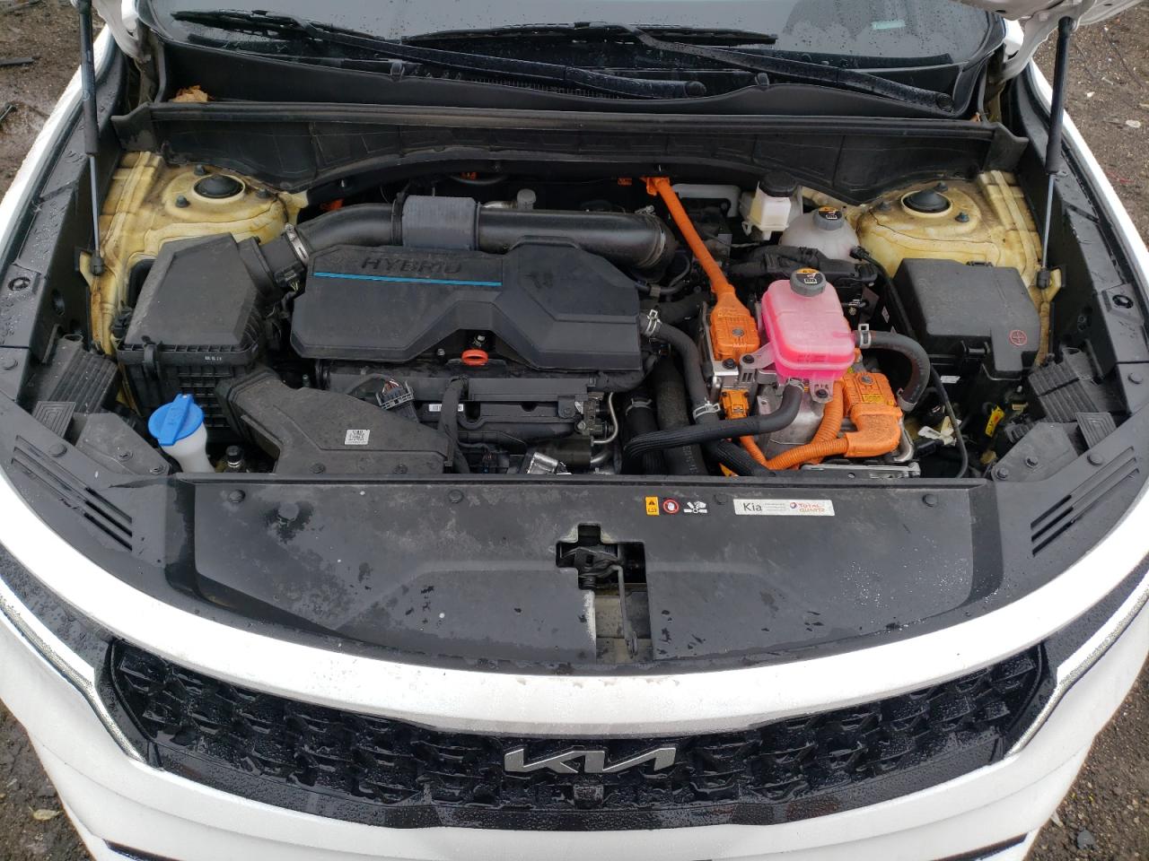 2023 KIA SORENTO SXP VIN:KNDRKDLG0P5145120