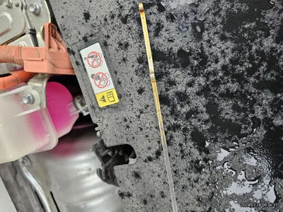 2019 Lexus NX 300 VIN: