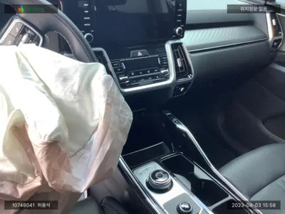 2023 Kia Sorento KNARL81FGPA216084 VIN:KNARL81FGPA216084