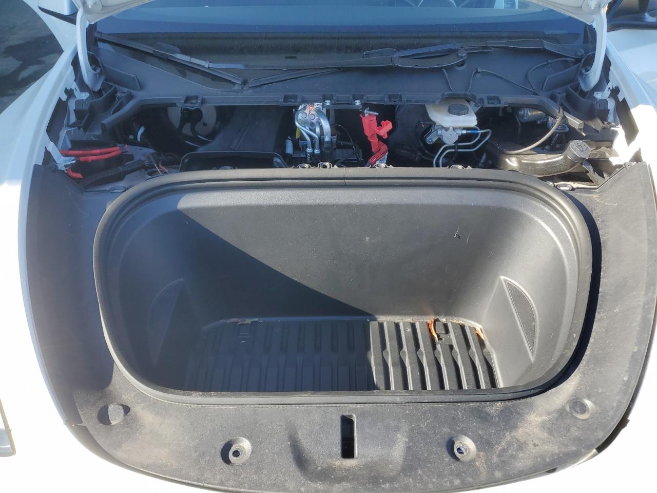 2024 TESLA MODEL Y  VIN:7SAYGDEFXRF117959