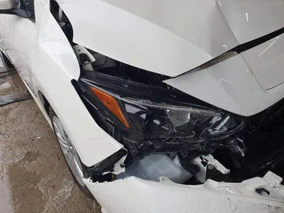 2019 Nissan Leaf 1N4AZ1CP1KC311856 VIN:1N4AZ1CP1KC311856