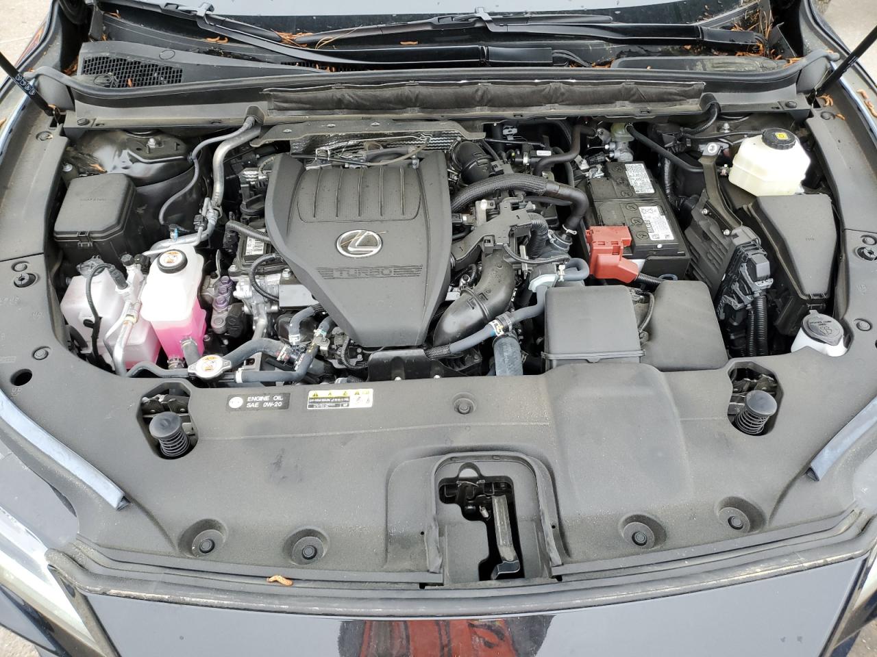 2023 LEXUS RX 350 BASE VIN:2T2BAMBA5PC013860