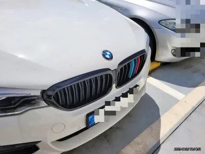 2019 BMW 520 WBAJF5108KBJ09891 VIN:WBAJF5108KBJ09891