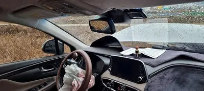 2019 Hyundai Santa FE KMHS381BBKU051777 VIN:KMHS381BBKU051777