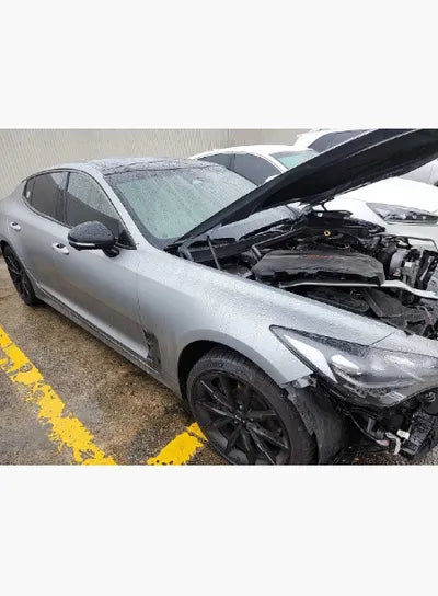 2023 Kia Stinger KNAE551CDPS134833 VIN:KNAE551CDPS134833