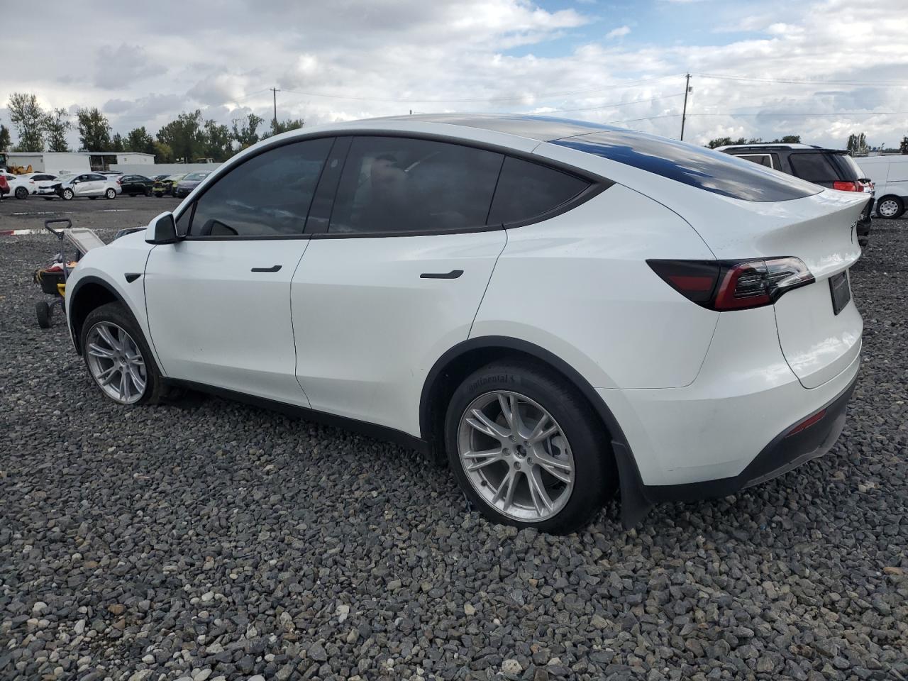 2024 TESLA MODEL Y  VIN:7SAYGDEE1RF084714