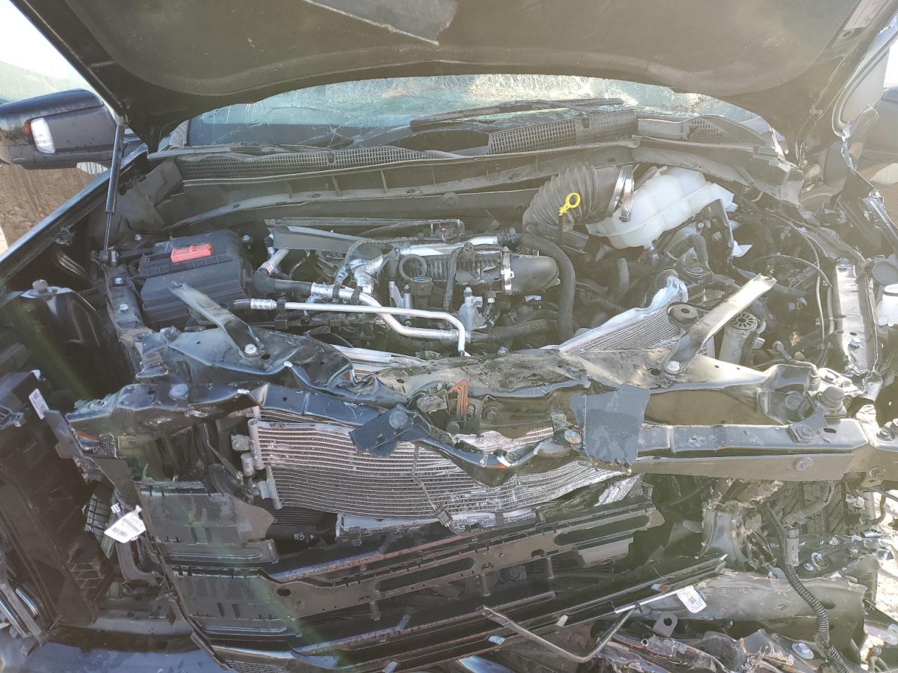 2024 GMC SIERRA K1500 ELEVATION VIN:3GTUUCE8XRG351383