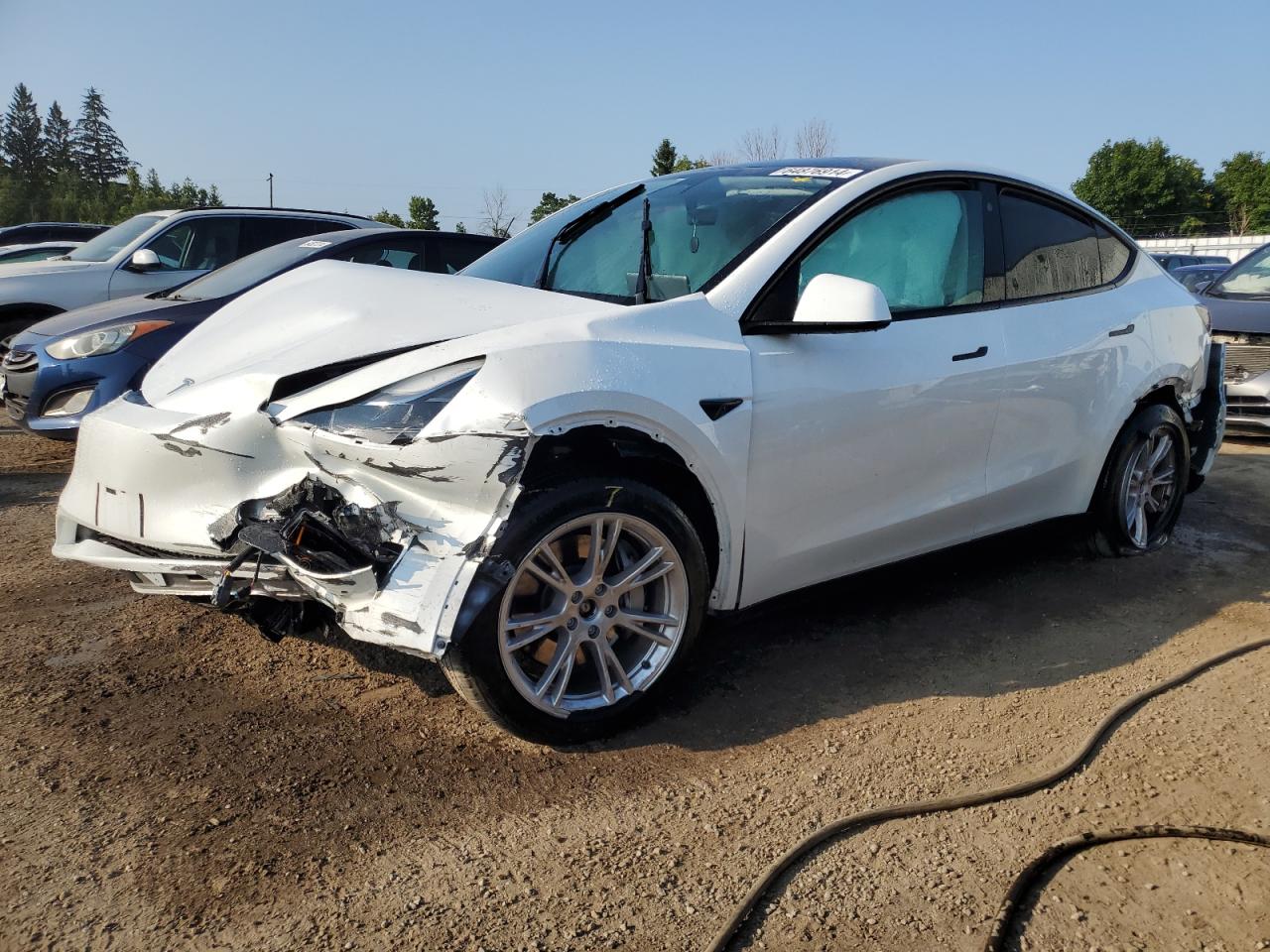 2023 TESLA MODEL Y  VIN:LRWYGDEE5PC081495