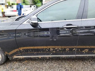 2017 Genesis G80 VIN: