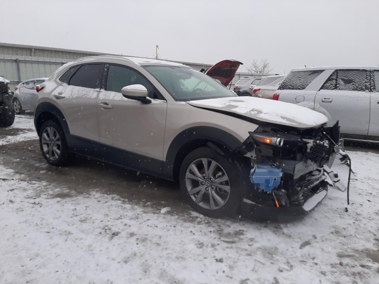 2023 MAZDA CX-30 PREMIUM VIN:3MVDMBDM7PM587088