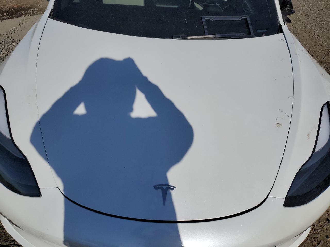 2023 TESLA MODEL 3  VIN:5YJ3E1EA0PF567519