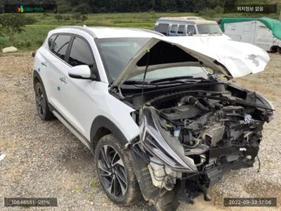 2019 Hyundai Tucson KMHJ5812HKU071968 VIN:KMHJ5812HKU071968