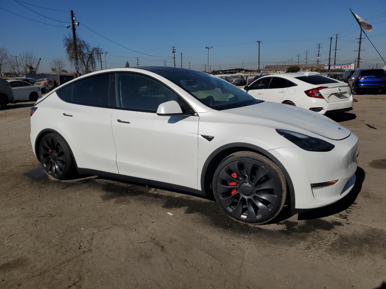 2023 TESLA MODEL Y  VIN:7SAYGDEF1PF750363
