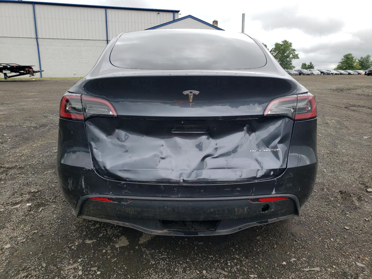 2024 TESLA MODEL Y  VIN:7SAYGDEEXRA229505