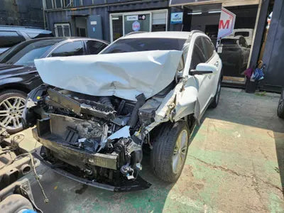2018 Hyundai Kona KMHK4815GJU062598 VIN:KMHK4815GJU062598