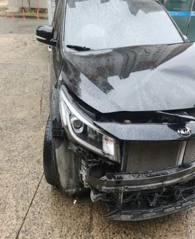 2018 Kia Carnival KNAMB81ABKS483304 VIN:KNAMB81ABKS483304