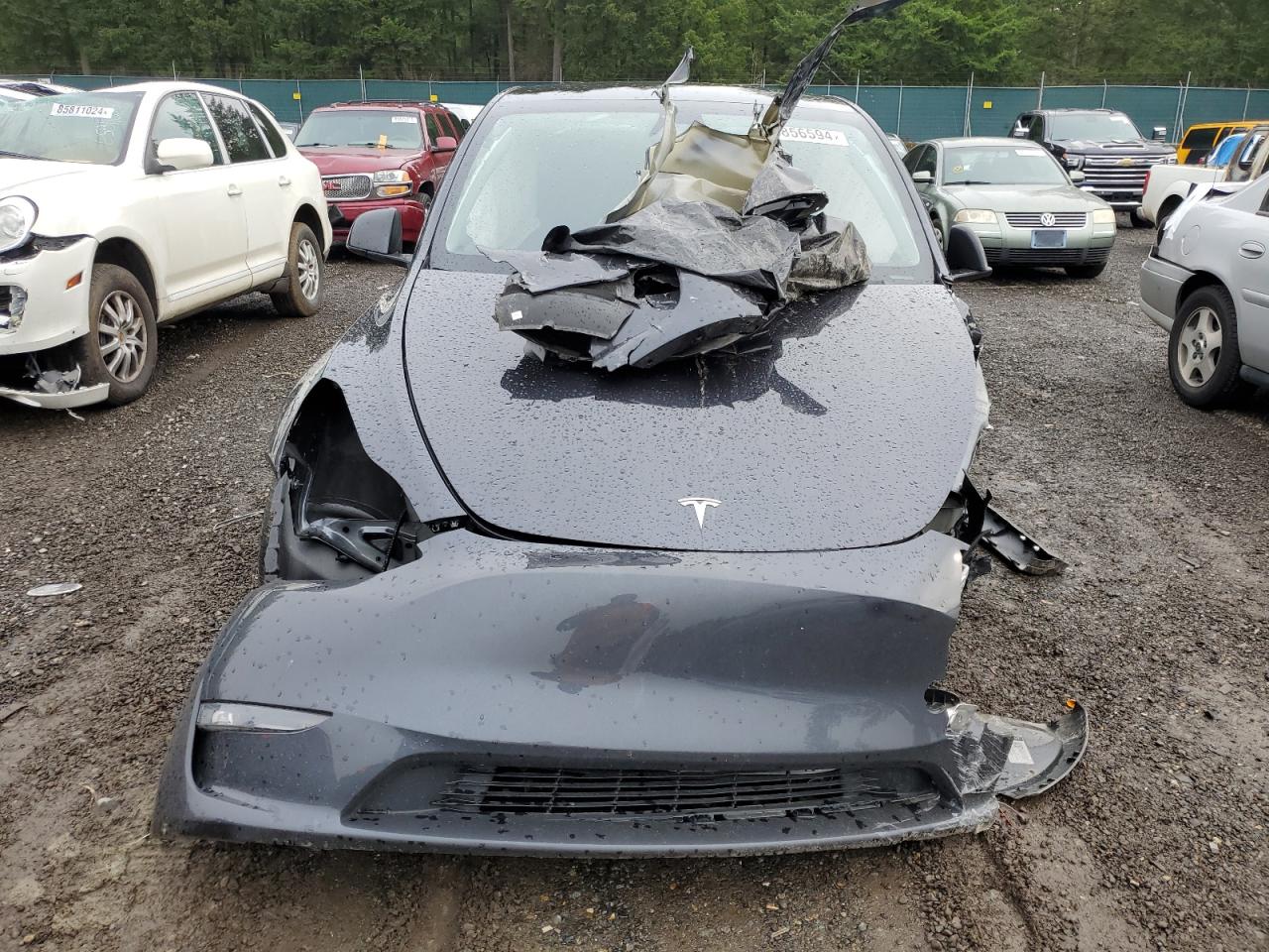 2024 TESLA MODEL Y  VIN:7SAYGDEF5RF163148