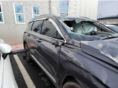 2020 Hyundai Santa FE KMHS381BDLU264845 VIN:KMHS381BDLU264845