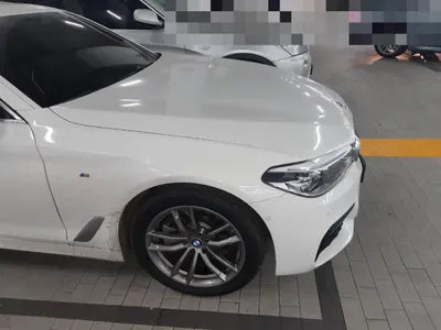 2019 BMW 520 WBAJF5101LCD42963 VIN:WBAJF5101LCD42963