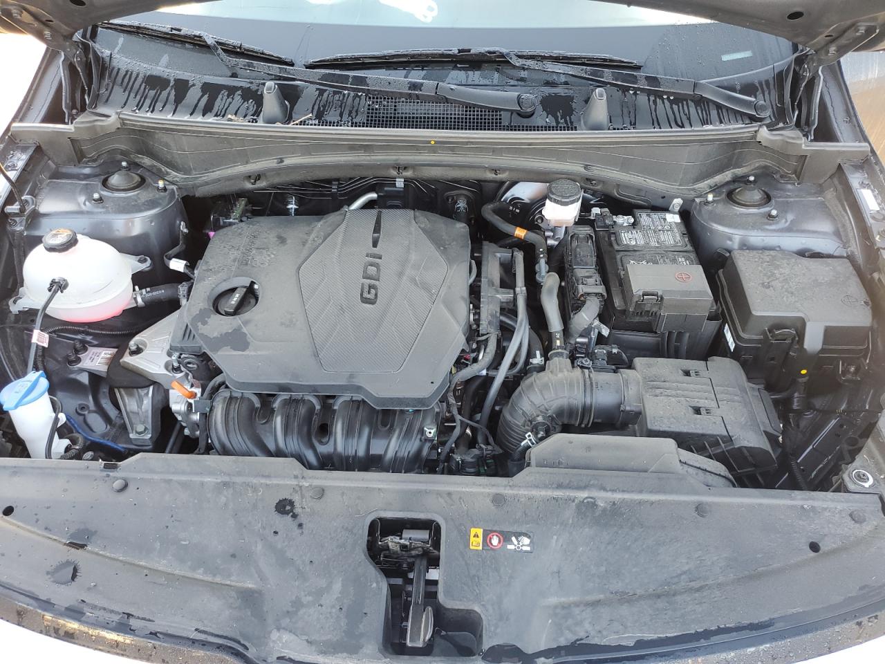 2023 KIA SPORTAGE EX VIN:5XYK33AF9PG097692