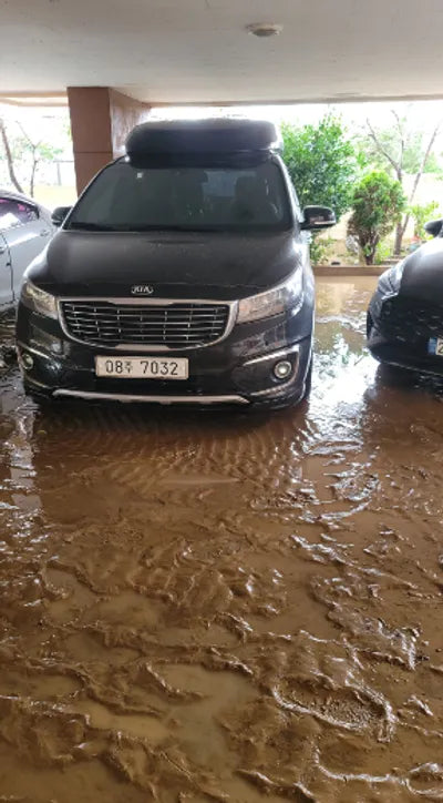 2017 Kia Carnival KNAME811BHS277109 VIN:KNAME811BHS277109