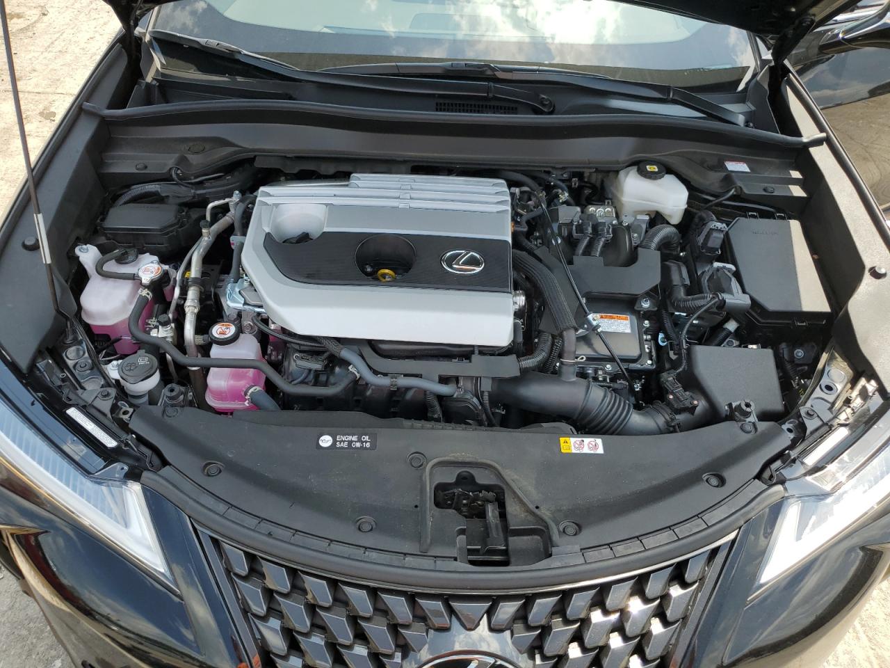 2024 LEXUS UX 250H PREMIUM VIN:JTHP6JBH2R2191619