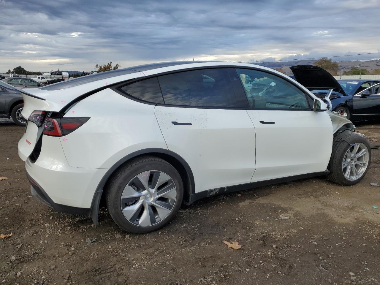 2023 TESLA MODEL Y  VIN:7SAYGDEE5PF813889