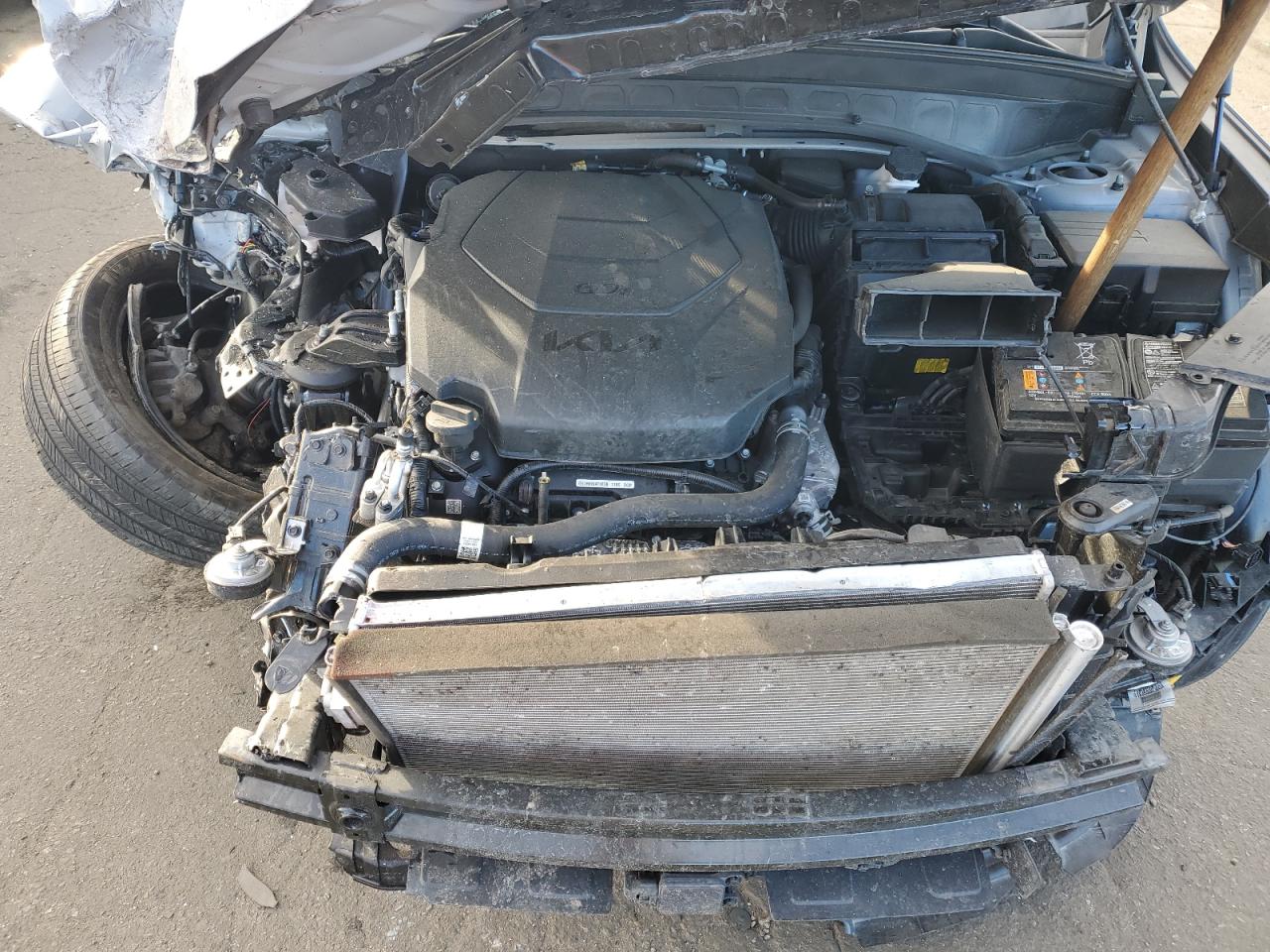 2024 KIA TELLURIDE SX VIN:5XYP5DGC2RG454412