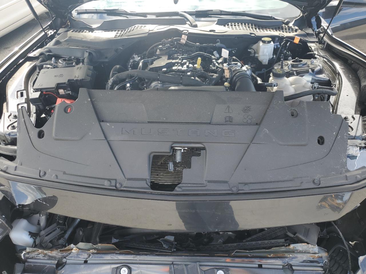 2024 FORD MUSTANG  VIN:1FA6P8TH5R5133106
