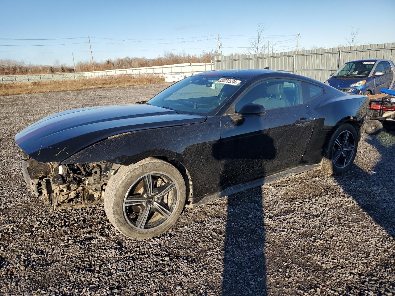 2024 FORD MUSTANG  VIN:1FA6P8THXR5129875