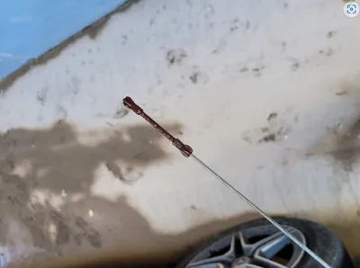 2021 Mercedes-Benz GLC 300 W1N0J5DB0MF882613 VIN:W1N0J5DB0MF882613