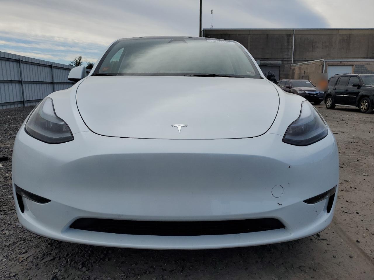 2023 TESLA MODEL Y  VIN:7SAYGDEE4PA179844