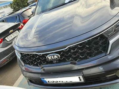 2021 Kia Sorento KNARH81GDMA059197 VIN:KNARH81GDMA059197