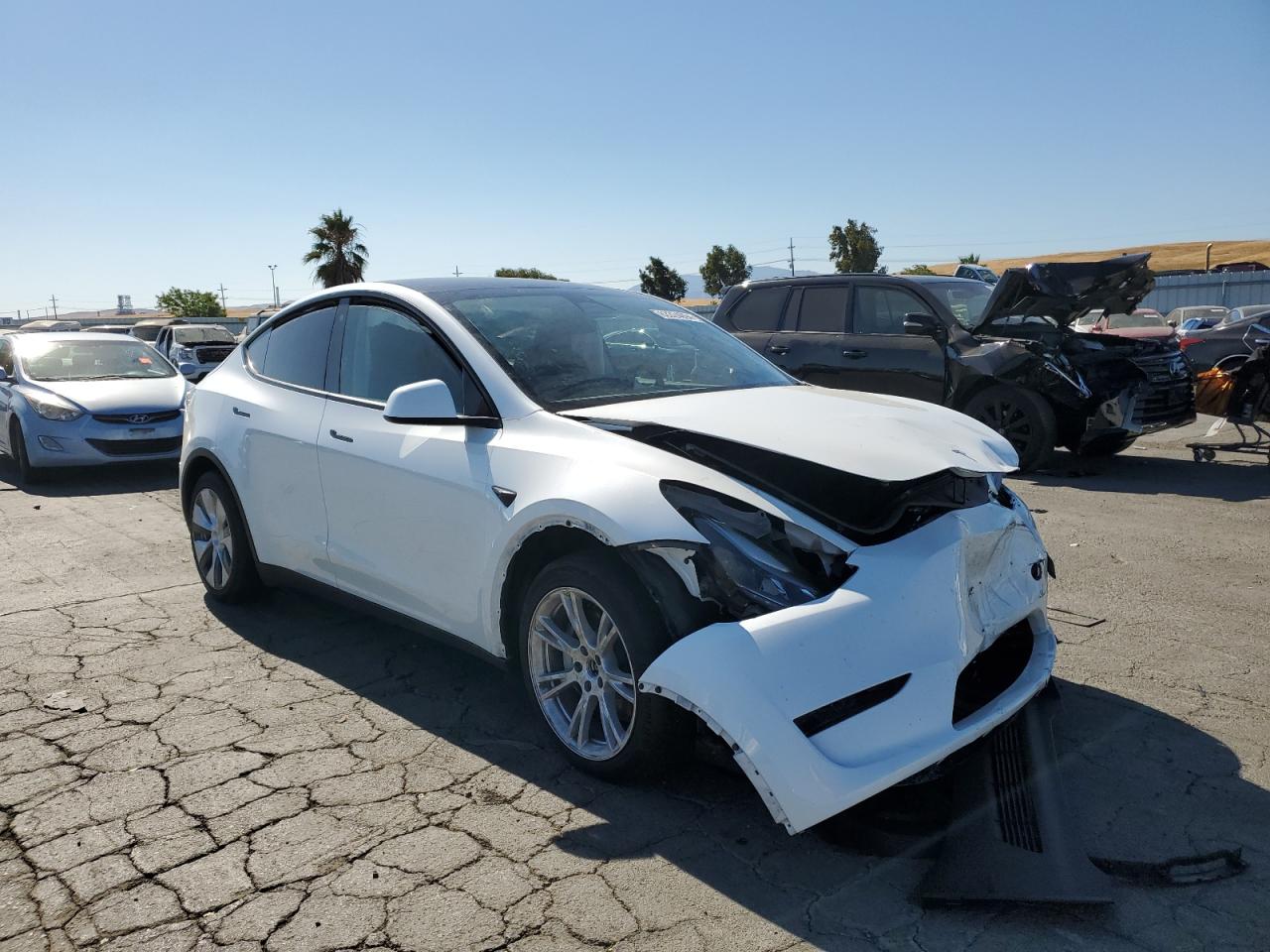 2023 TESLA MODEL Y  VIN:WP0AA2A8XNS255297