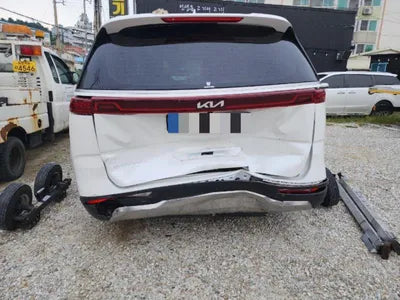 2022 Kia Carnival KNANE81BBNS177058 VIN:KNANE81BBNS177058