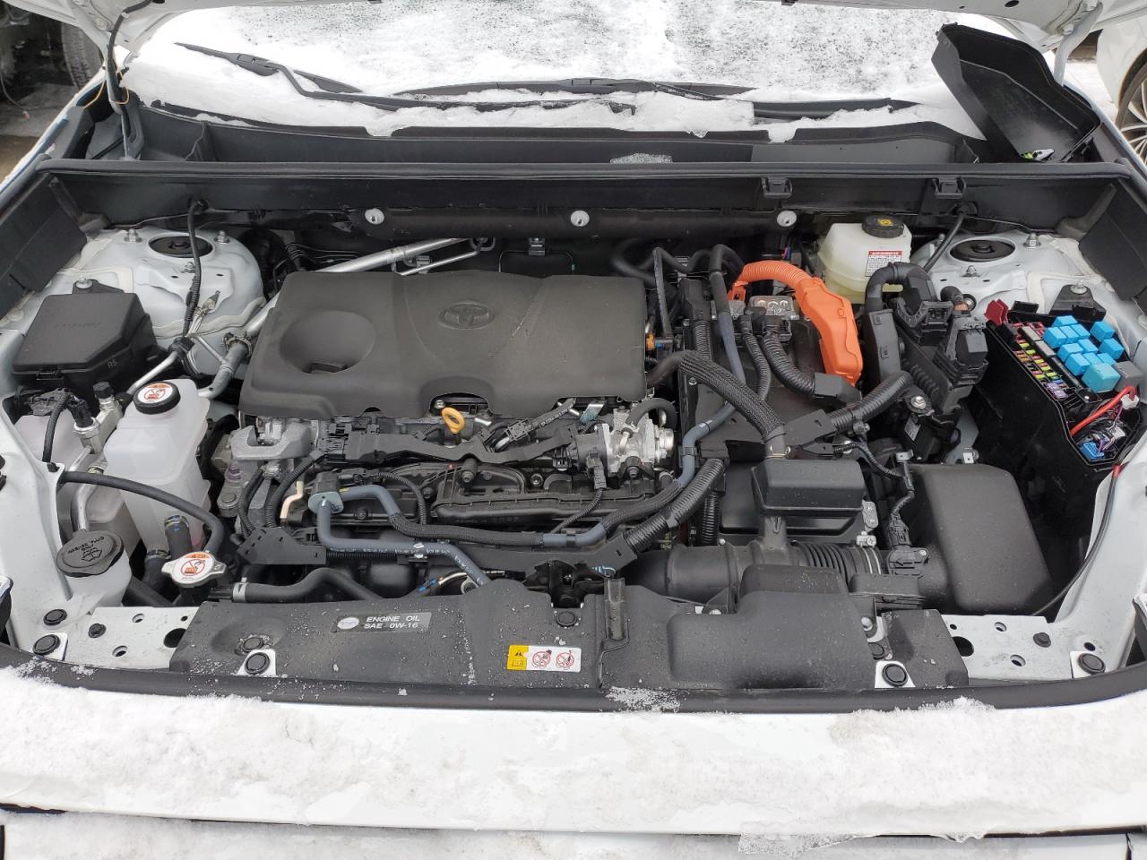 2023 TOYOTA RAV4 XLE VIN:3GNEC16T81G147501